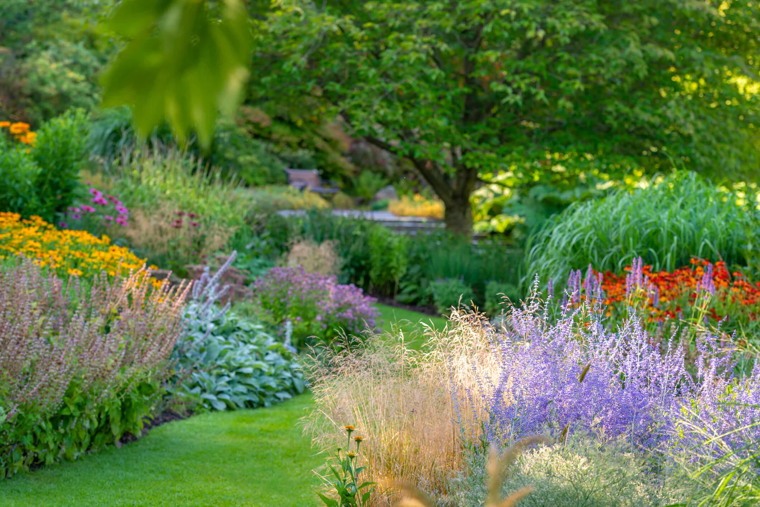 Cultivate Your Perfect Outdoor Oasis